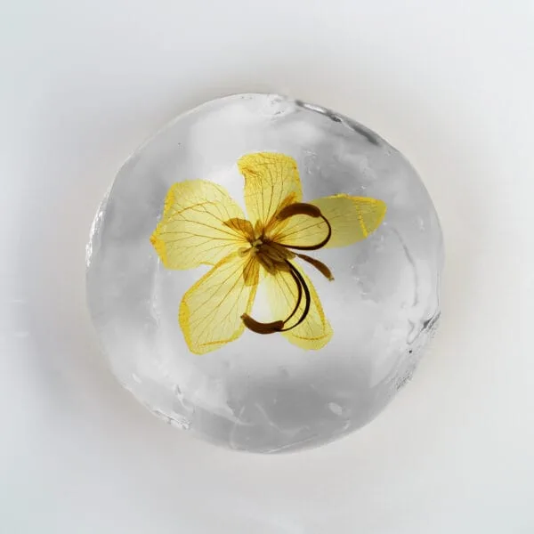 Lily Soap