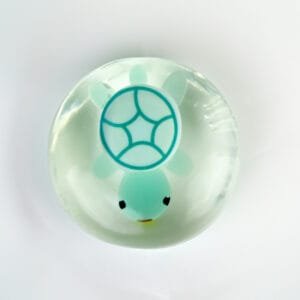 turtle soap